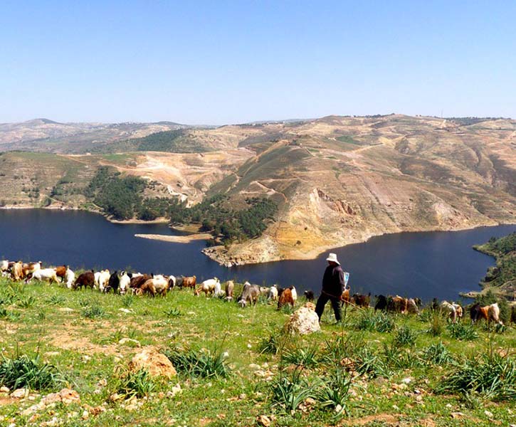 jordan dam jordan dam